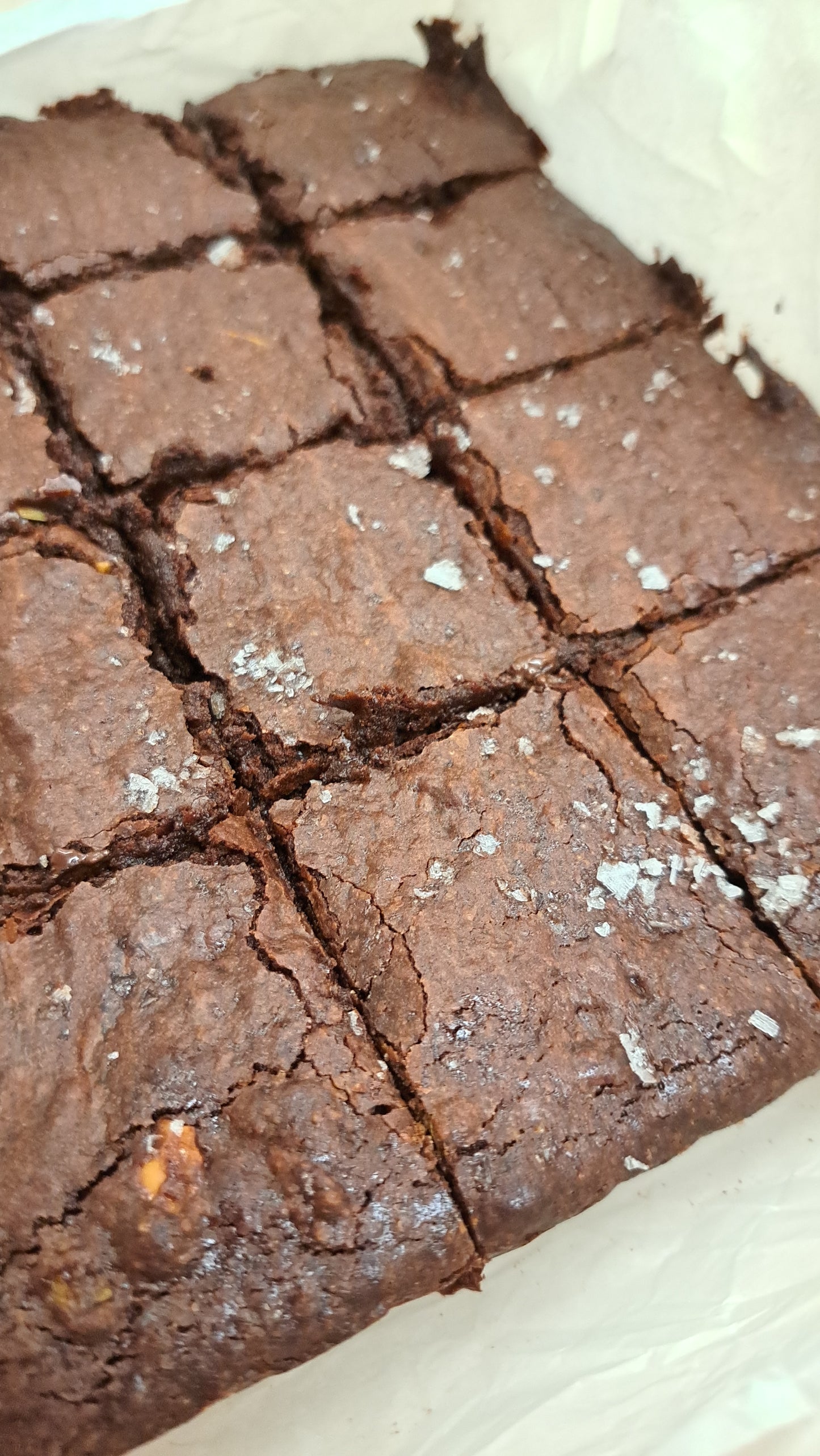 Full tray of baked brownies topped with sea salt and filled with dark chocolate chips